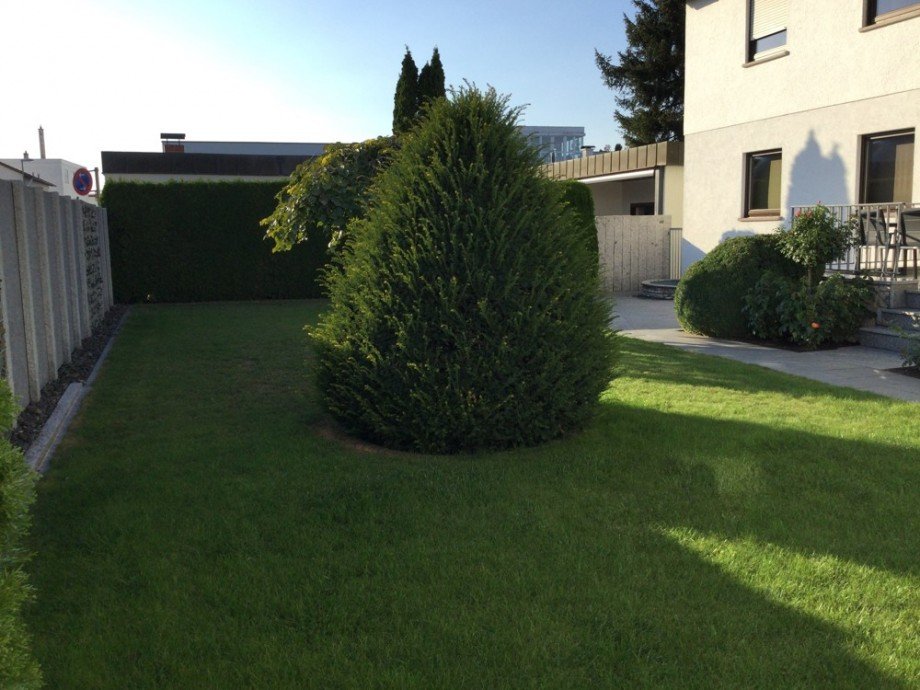 Garten Einfamilienhaus Ulm / S�flingen
