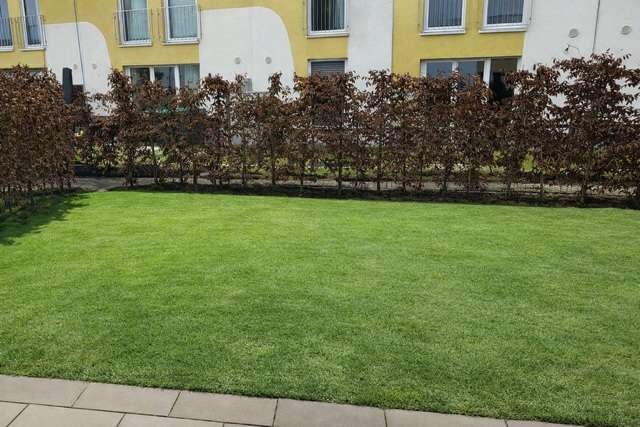 Terrasse EG Reihenmittelhaus Dornstadt